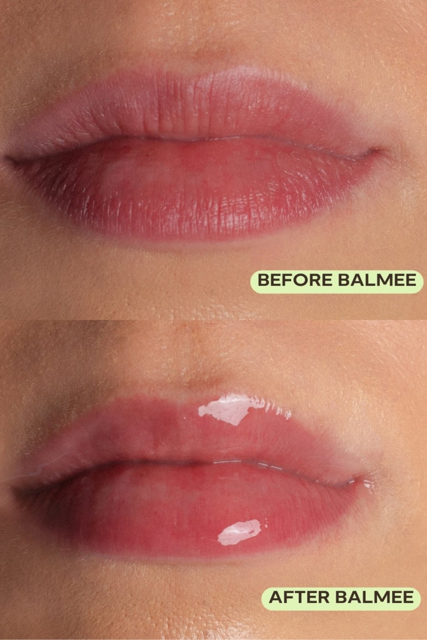 BALMEE Lip Balm